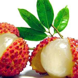 lychee fresh|Canned Fruits|