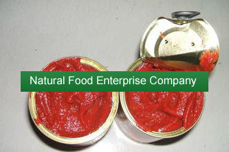 canned tomato paste|Canned Vegetables|