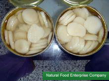 Canned waterchestnuts|Canned Vegetables|