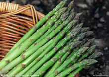 green asparagus fresh|Canned Vegetables|