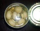 canned mushrooms wholes|Canned Vegetables|