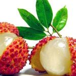 lychee fresh|Canned Fruits|