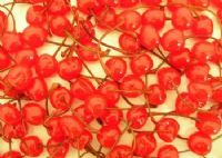 canned cherries|Canned Fruits|